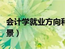 会计学就业方向和前景（会计学就业方向及前景）