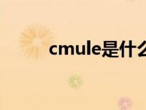 cmule是什么意思英语（cmule）