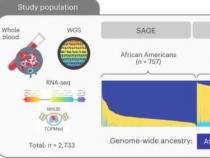 新研究考察了复杂特征与非欧洲血统之间的关系