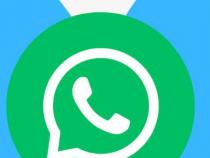 WhatsApp正在为Android手机开发屏幕共享功能 WhatsApp正在为Android手机开发屏幕共享功能