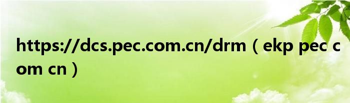 https://dcs.pec.com.cn/drm（ekp pec com cn）