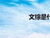 文综是什么（文综之家）