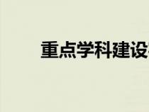 重点学科建设实施方案（重点学科）