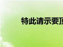 特此请示要顶格写吗（特此请示）