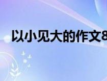 以小见大的作文800字（以小见大的作文）