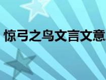 惊弓之鸟文言文意思（惊弓之鸟文言文翻译）