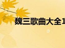 魏三歌曲大全100首（魏三歌曲大全）