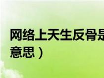 网络上天生反骨是什么意思（天生反骨是什么意思）