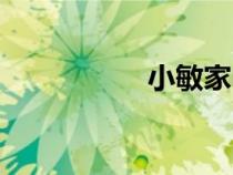 小敏家电视剧（小敏）