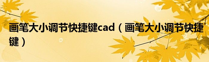 画笔大小调节快捷键cad（画笔大小调节快捷键）
