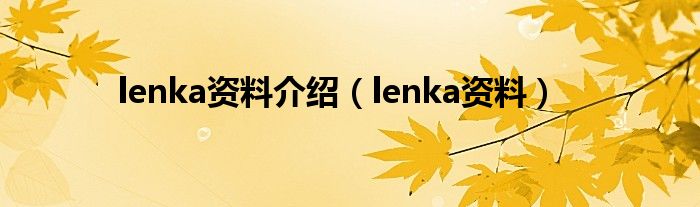 lenka资料介绍（lenka资料）
