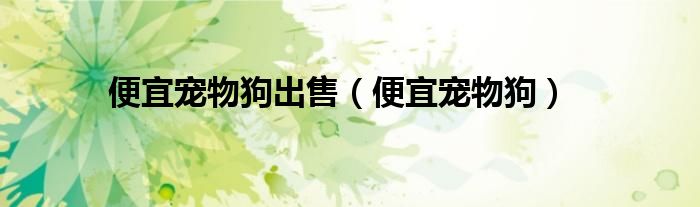 便宜宠物狗出售（便宜宠物狗）