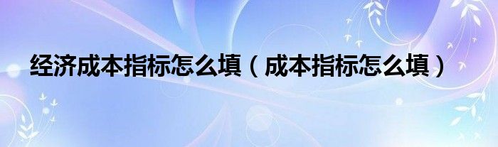 经济成本指标怎么填（成本指标怎么填）