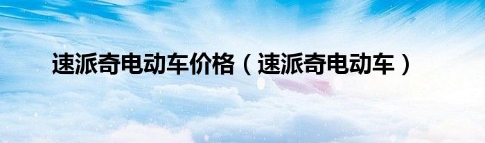 速派奇电动车价格（速派奇电动车）