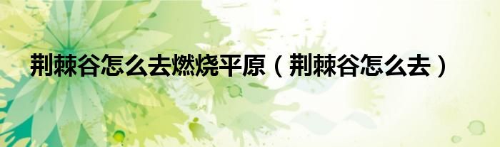 荆棘谷怎么去燃烧平原（荆棘谷怎么去）