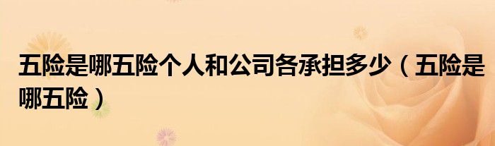 五险是哪五险个人和公司各承担多少（五险是哪五险）