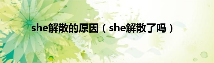 she解散的原因（she解散了吗）