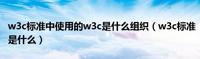 w3c标准中使用的w3c是什么组织（w3c标准是什么）