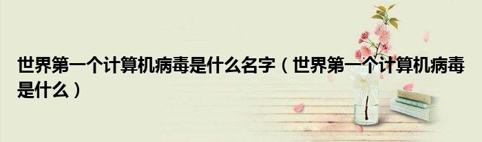 世界第一个计算机病毒是什么名字（世界第一个计算机病毒是什么）