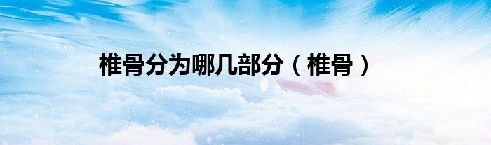 椎骨分为哪几部分（椎骨）