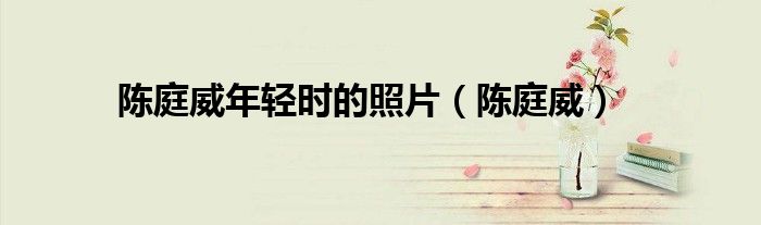 陈庭威年轻时的照片（陈庭威）
