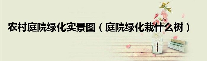 农村庭院绿化实景图（庭院绿化栽什么树）