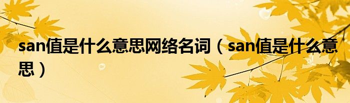 san值是什么意思网络名词（san值是什么意思）
