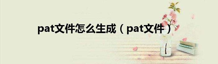 pat文件怎么生成（pat文件）