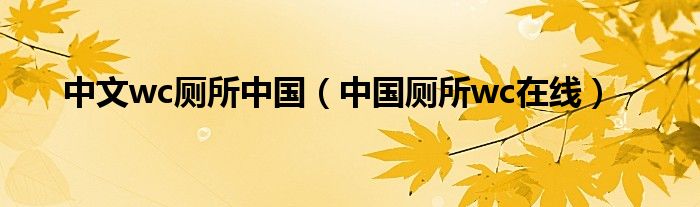 中文wc厕所中国（中国厕所wc在线）