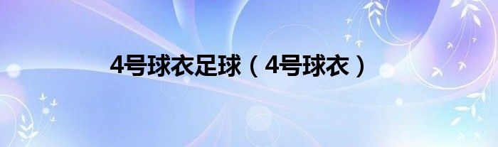 4号球衣足球（4号球衣）