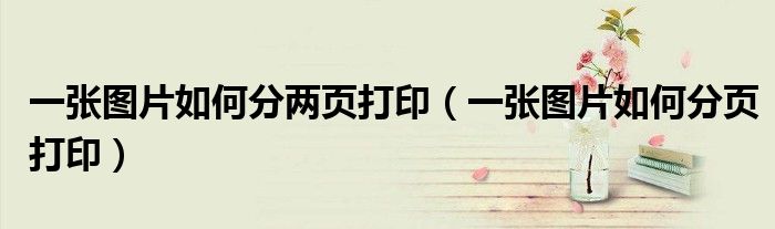 一张图片如何分两页打印（一张图片如何分页打印）