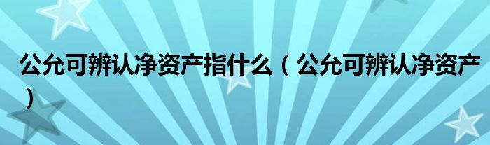 公允可辨认净资产指什么（公允可辨认净资产）