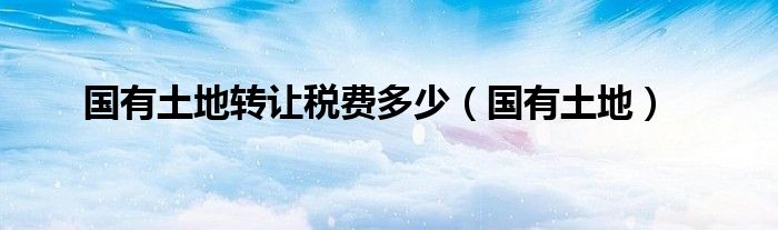 国有土地转让税费多少（国有土地）