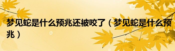 梦见蛇是什么预兆还被咬了（梦见蛇是什么预兆）
