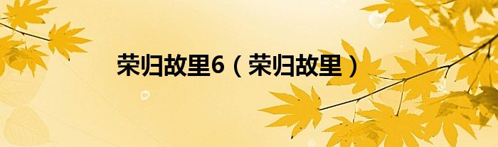 荣归故里6（荣归故里）