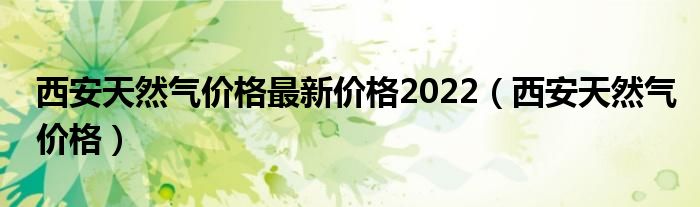 西安天然气价格最新价格2022（西安天然气价格）
