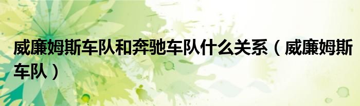 威廉姆斯车队和奔驰车队什么关系（威廉姆斯车队）