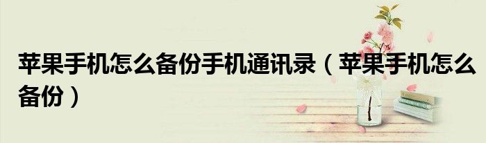 苹果手机怎么备份手机通讯录（苹果手机怎么备份）