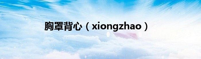 胸罩背心（xiongzhao）