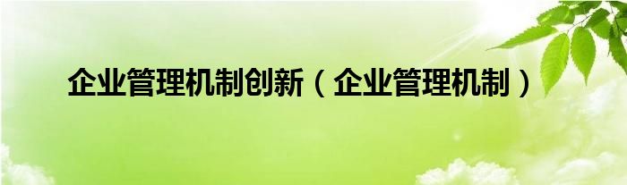 企业管理机制创新（企业管理机制）