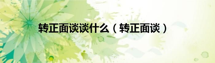转正面谈谈什么（转正面谈）