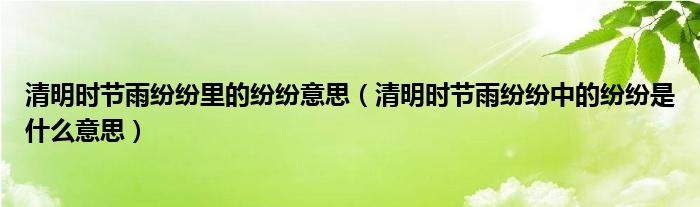 清明时节雨纷纷里的纷纷意思（清明时节雨纷纷中的纷纷是什么意思）