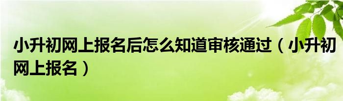 小升初网上报名后怎么知道审核通过（小升初网上报名）