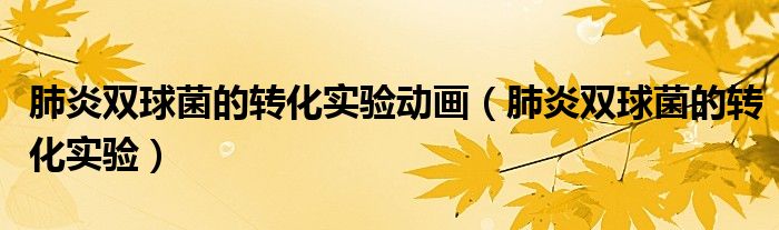 肺炎双球菌的转化实验动画（肺炎双球菌的转化实验）
