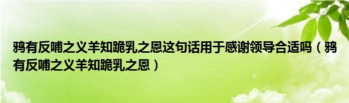 鸦有反哺之义羊知跪乳之恩这句话用于感谢领导合适吗（鸦有反哺之义羊知跪乳之恩）
