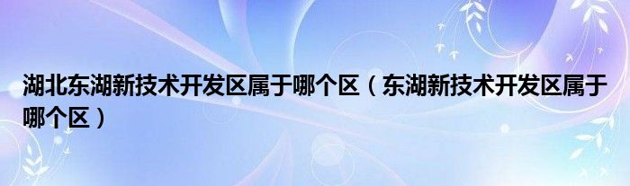 湖北东湖新技术开发区属于哪个区（东湖新技术开发区属于哪个区）