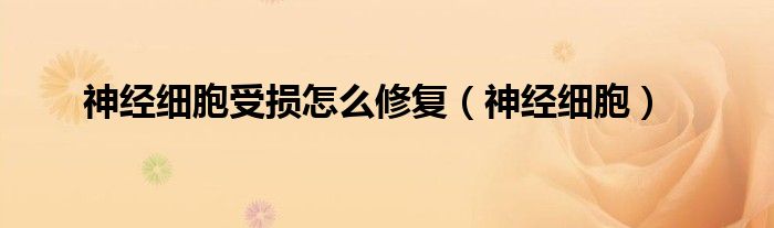 神经细胞受损怎么修复（神经细胞）