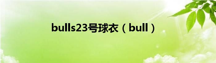 bulls23号球衣（bull）