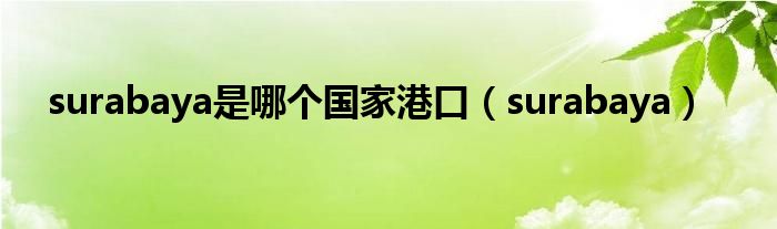 surabaya是哪个国家港口（surabaya）