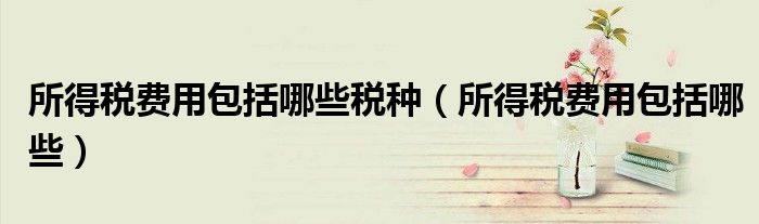 所得税费用包括哪些税种（所得税费用包括哪些）